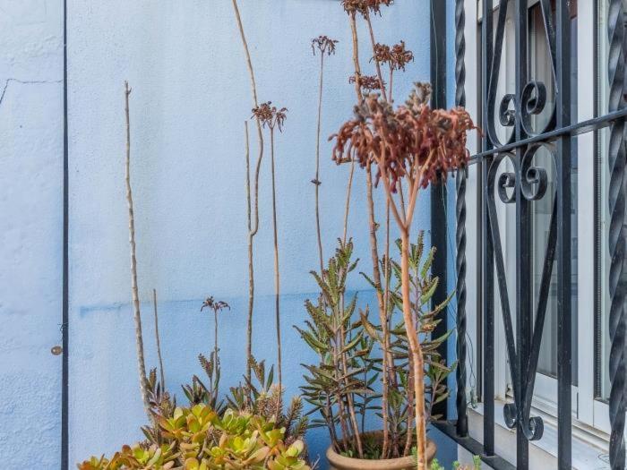Apartamento Susillo Vacacional Sevilla Eksteriør billede